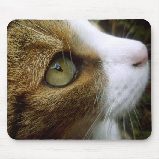Tabby Cat Mousepad Muismat (Voorkant)