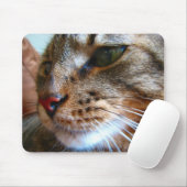 Tabby cat mousepad muismat (Met muis)