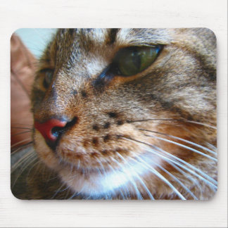 Tabby cat mousepad muismat