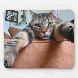 Tabby cat mousepad muismat