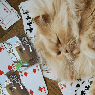 Tabby Cat Napping Vogelhuis Pokerkaarten