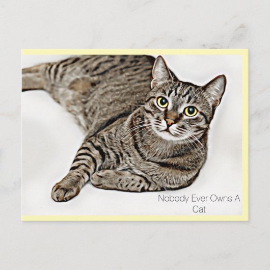 Tabby Cat: "Niemand heeft ooit een kat." | Briefkaart (Voorkant)