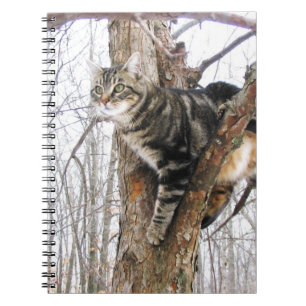 Tabby Cat Notitieboek