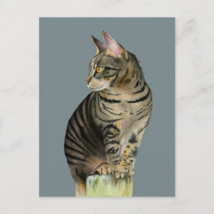 Tabby Cat on Wood Post Illustration "The Lookout" Briefkaart