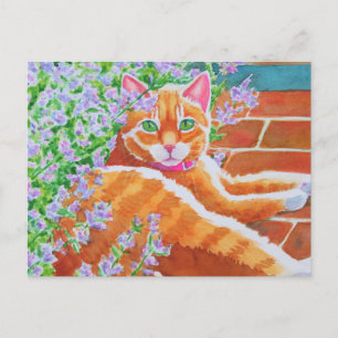 Tabby Cat op pad voor tuin Briefkaart