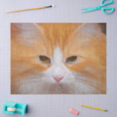 Tabby Cat Oranje White Cute Fluffy Beauful Tissuepapier (Craft)