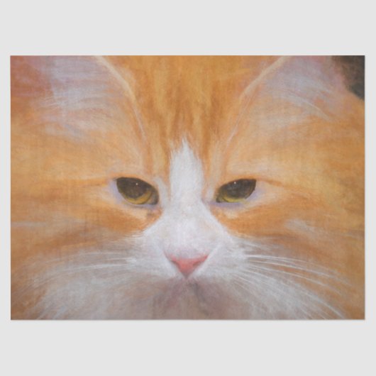 Tabby Cat Oranje White Cute Fluffy Beauful Tissuepapier (Voorkant)
