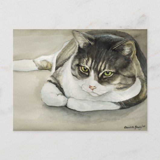 Tabby Cat Original Art Briefkaart (Voorkant)