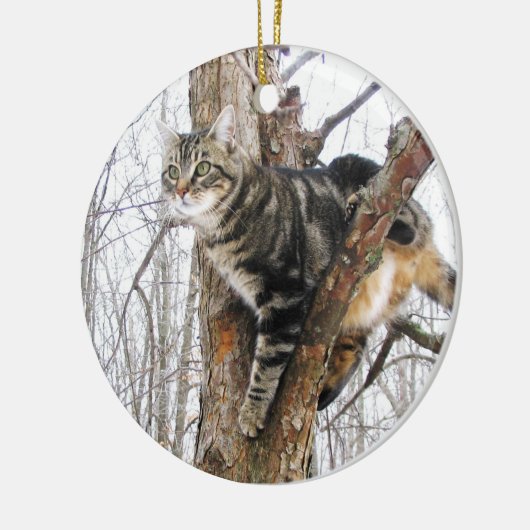 Tabby Cat Ornament (Links)