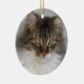 Tabby Cat ornament (Rechts)