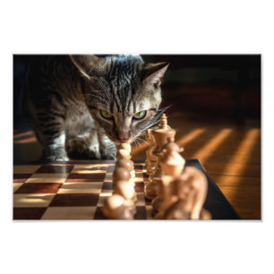 Tabby Cat Pplay Chess Foto Afdruk