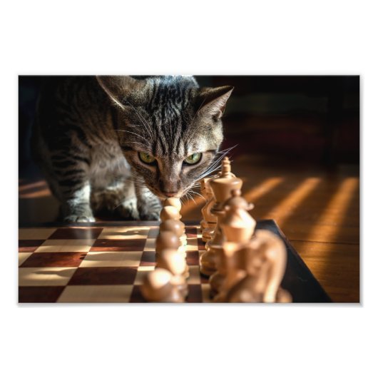 Tabby Cat Pplay Chess Foto Afdruk (Voorkant)