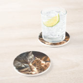 Tabby Cat Pplay Chess Zandsteen Onderzetter (Zijkant)