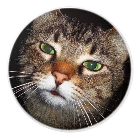 Tabby Cat Pull Keramische Knop (Voorkant)
