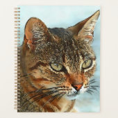 Tabby Cat RB Style Dessin Artistique (Devant)