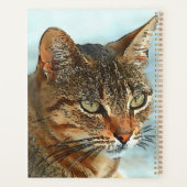 Tabby Cat RB Style Dessin Artistique (Dos)