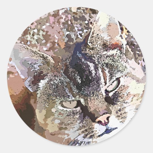 TABBY CAT RONDE STICKER (Voorkant)