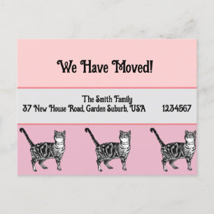 Tabby Cat Rose Nouvelle Adresse Carte Postale, Nou