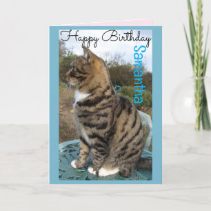 Tabby Cat Schattigee Gestreepte Katten Verjaardag Kaart