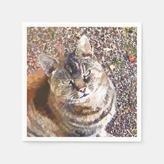 TABBY CAT SERVETTEN (Voorkant)