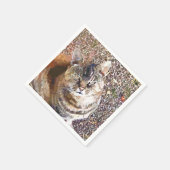 TABBY CAT SERVETTEN (Hoek)