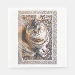 TABBY CAT SERVETTEN