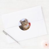 Tabby Cat Stickers (Envelop)