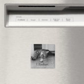 Tabby Cat Stretched out, Speelgoed muis, I-eindtij Magneet (Insitu (Vaatwasser))