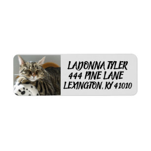TABBY CAT SUR LES ÉTIQUETTES D'ADRESSE DE RETOUR D