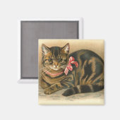 "Tabby Cat" vierkante magneet (Voorkant / Achterkant)