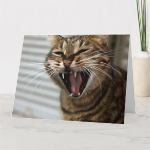 Tabby Cat Yawning Artistic Portret Bedankkaart