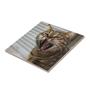Tabby Cat Yawning Artistic Portret Tegeltje
