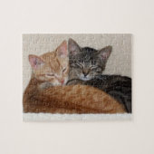 Tabby Cats Jigzaag Puzzle Legpuzzel (Horizontaal)