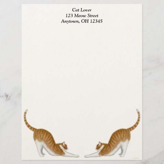 Tabby Cats Letterhead Persoonlijk Briefhoofd (Voorkant)