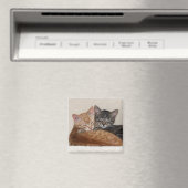 Tabby Cats Magnet (In Situ (Lave-vaisselle))
