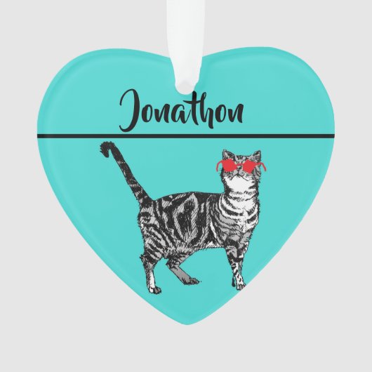 Tabby Cats 'One Cool Cat' Aqua Boys Mannen Ornament (voorkant)