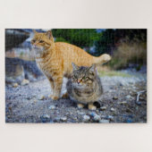 tabby cats puzzle (Horizontal)
