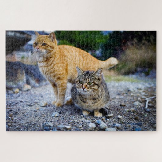 tabby cats puzzle (Horizontal)