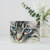 Tabby Chat avec Blue Eyes Carte postale (Debout devant)