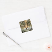 Tabby Chat avec Sticker Portrait Eyes Vert (Enveloppe)