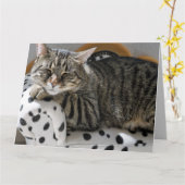 TABBY CHAT DORMIR CARTE DE SALUT D'ANNIVERSAIRE (Fleur jaune)