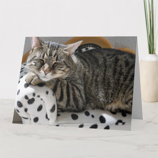 TABBY CHAT DORMIR CARTE DE SALUT D'ANNIVERSAIRE (Devant)