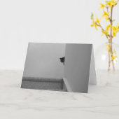 Tabby Chat - Regarder, carte (Fleur jaune)