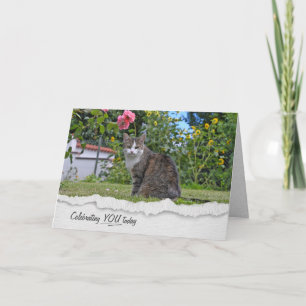 Tabby Chat Sur L'Herbe Carte Anniversaire