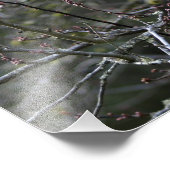 Tabby Cheveux Chat Animal Animaux Photo Imprimer (Coin)