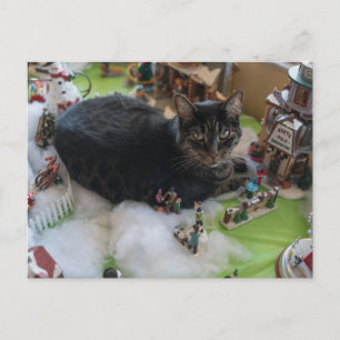 tabby christmas cat briefkaart