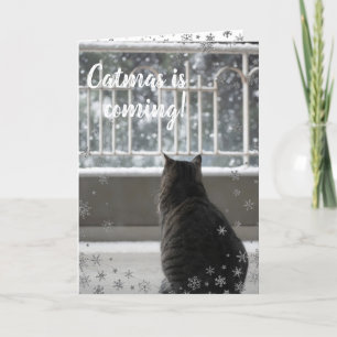 Tabby de Noël Cute Chat dans la carte de vacances 