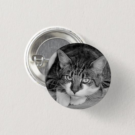 Tabby en witte kat ronde button 3,2 cm (Voorkant /achterkant)