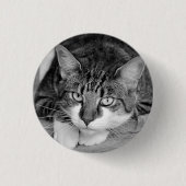 Tabby en witte kat ronde button 3,2 cm (Voorkant)