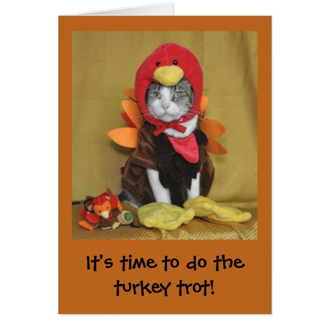 Tabby en witte Thanksgiving (Voorkant)